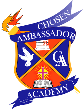 Chose Ambassador Report Booklet Design logo